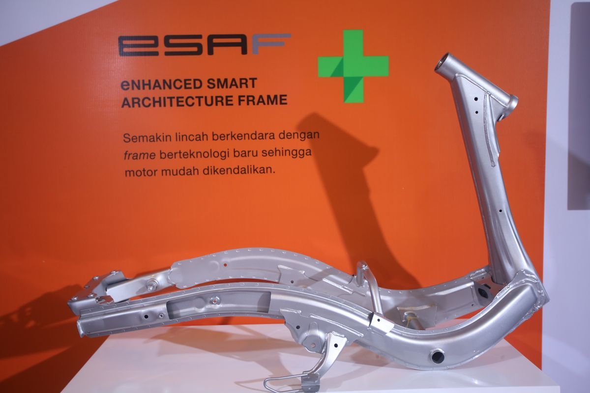 Informasi Tambahan eSAF